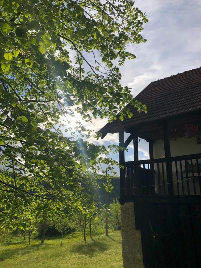 Etno Kuca Milidrag Villa Foca Exterior foto